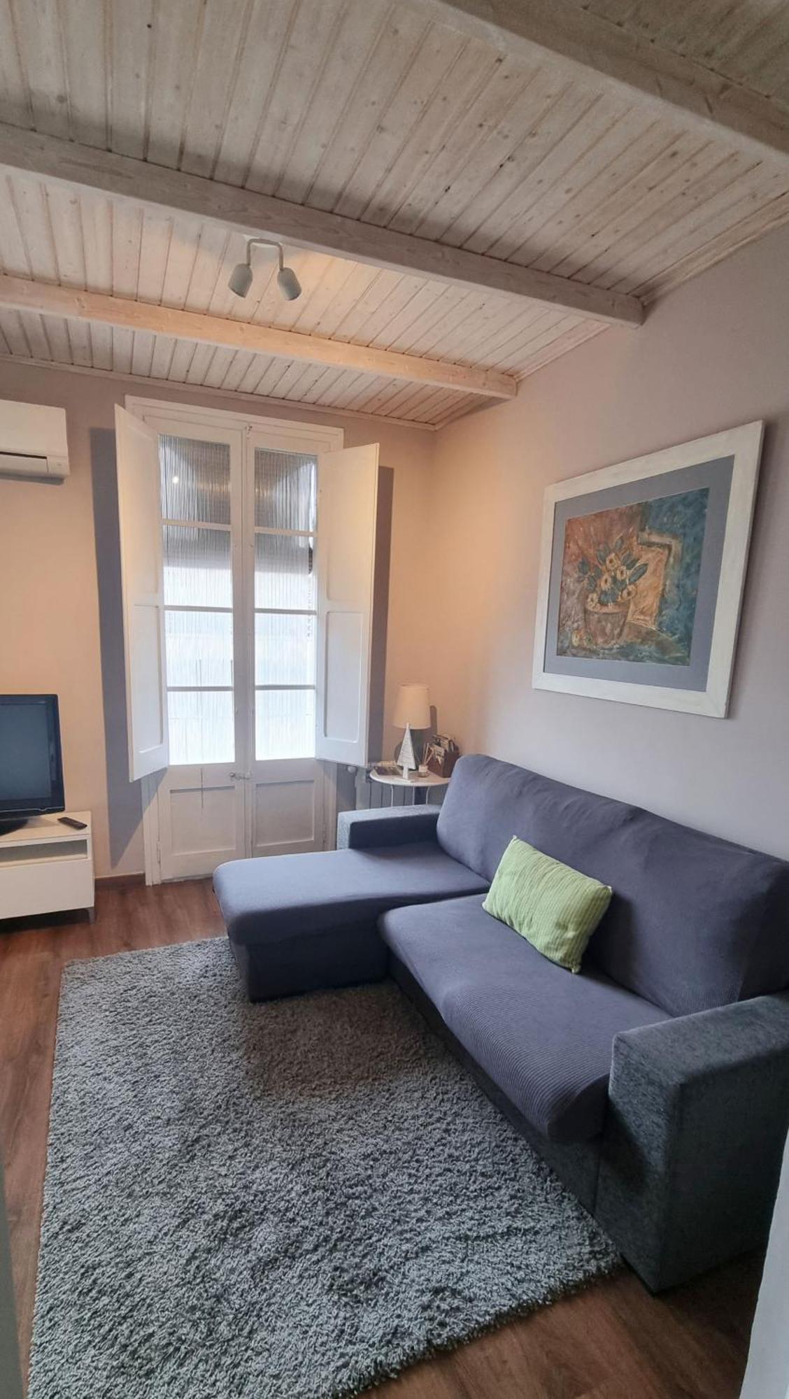 Apartment Sant Francesc Olot Exteriér fotografie