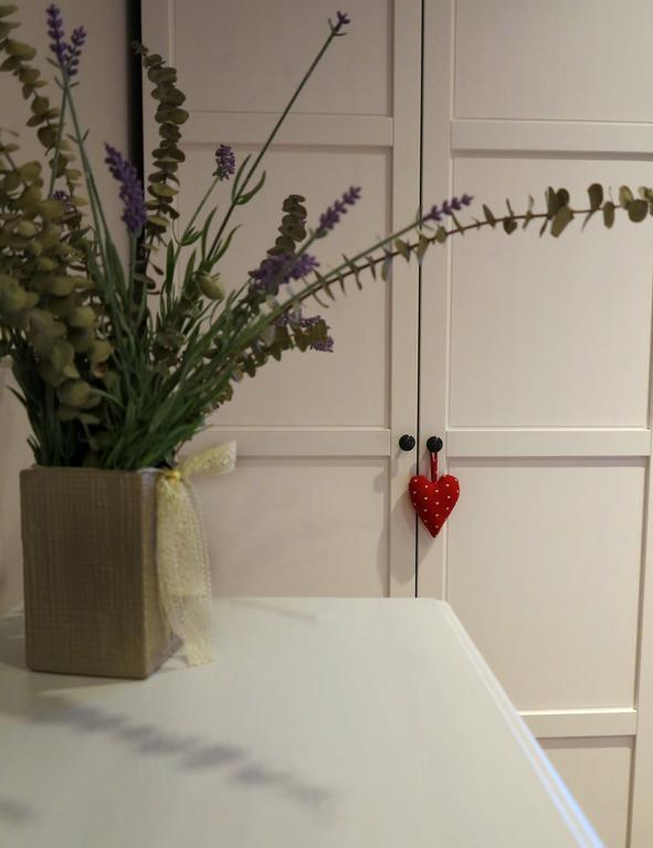 Apartment Sant Francesc Olot Exteriér fotografie